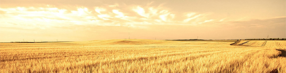 1525937481439784.jpg 未標題-2.jpg