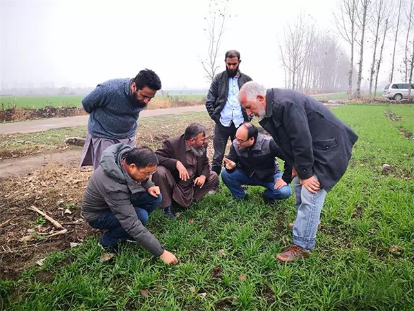 1544004083578135.jpg 2.jpg